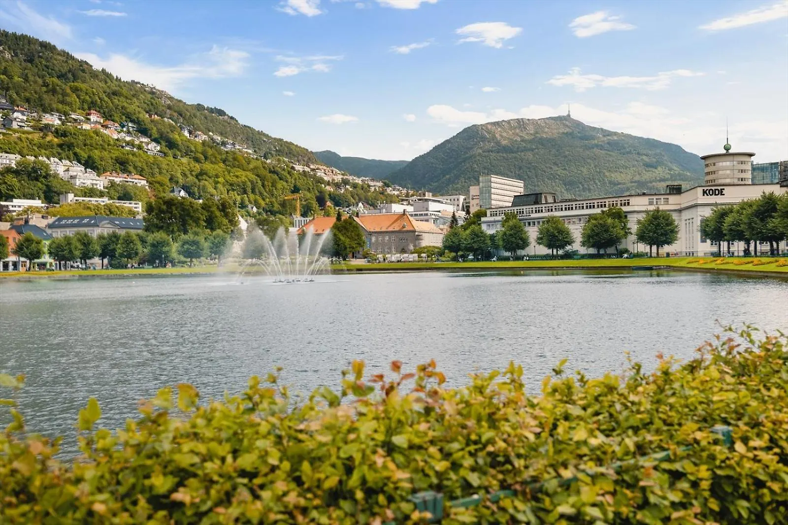 Dinbnb Apartments I Explorers Dream! I 200M To Bryggen And Floibanen Bergen